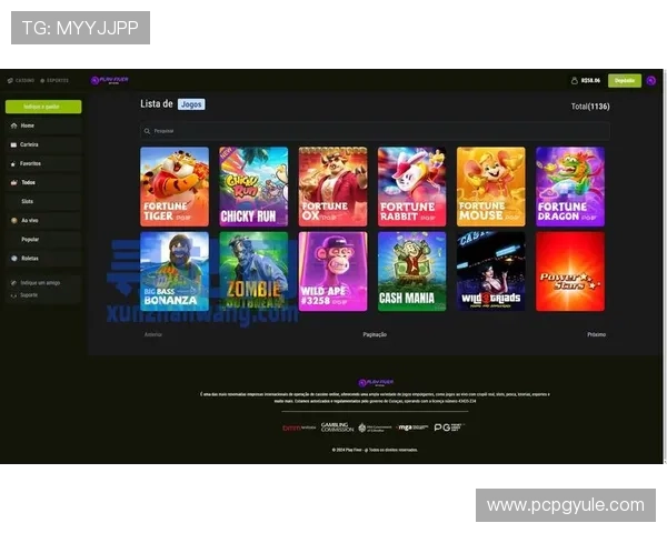 PG娱乐电子游戏平台最新安卓通道全网通.org多样化游戏选择满足不同玩家需求