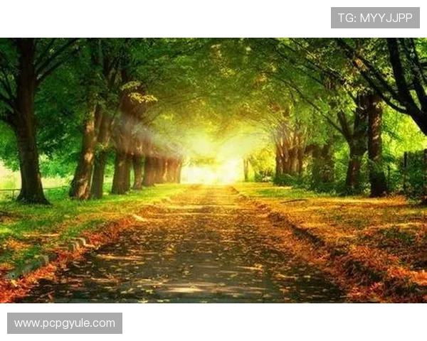 关于PG是什么网赌平台的常见问题解答及安全防范措施建议 关于PG是什么网赌平台的常见问题解答及安全防范措施建议