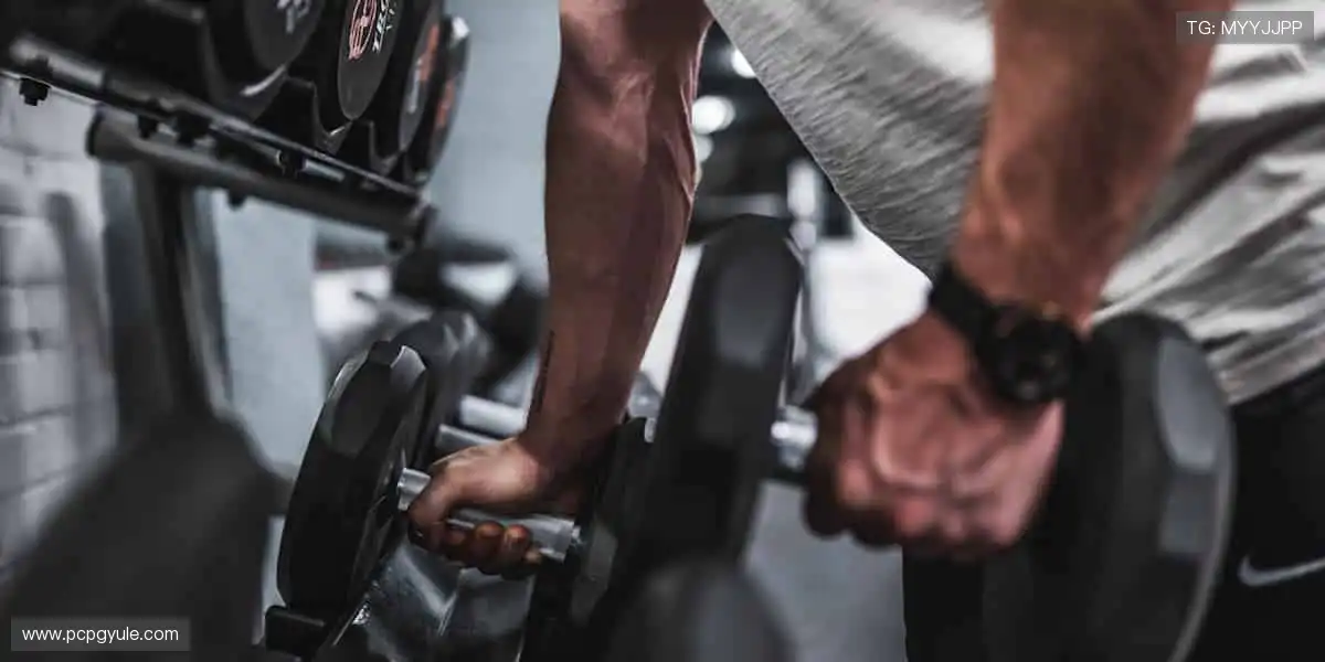 网络游戏全能平台：高清画面实时呈现，互动玩法精彩不断